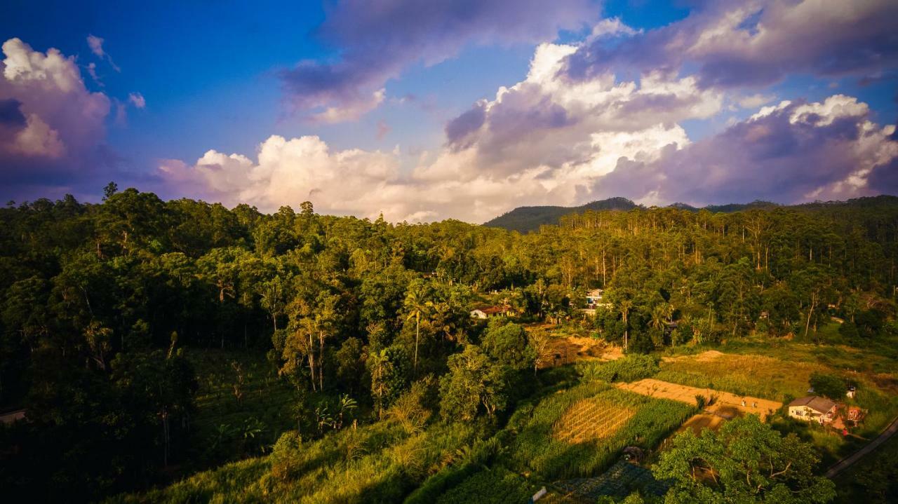 Ella Breeze Homestay Εξωτερικό φωτογραφία