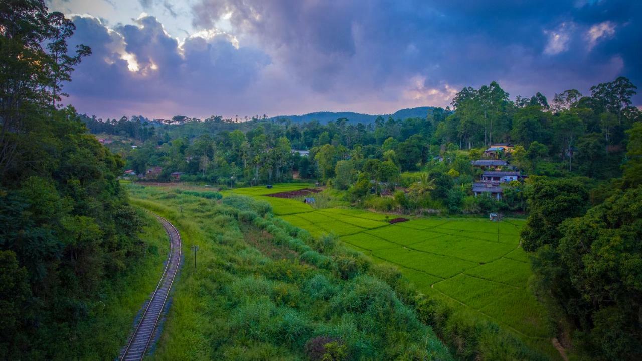 Ella Breeze Homestay Εξωτερικό φωτογραφία